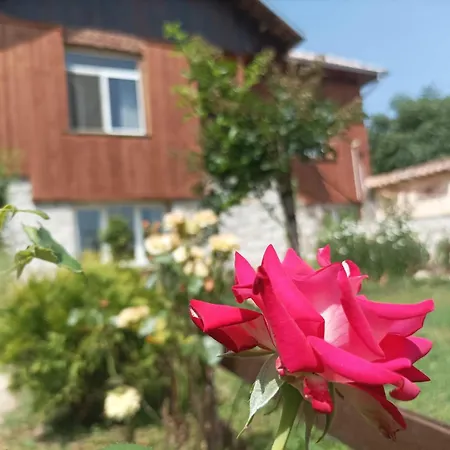 Nina In Villa